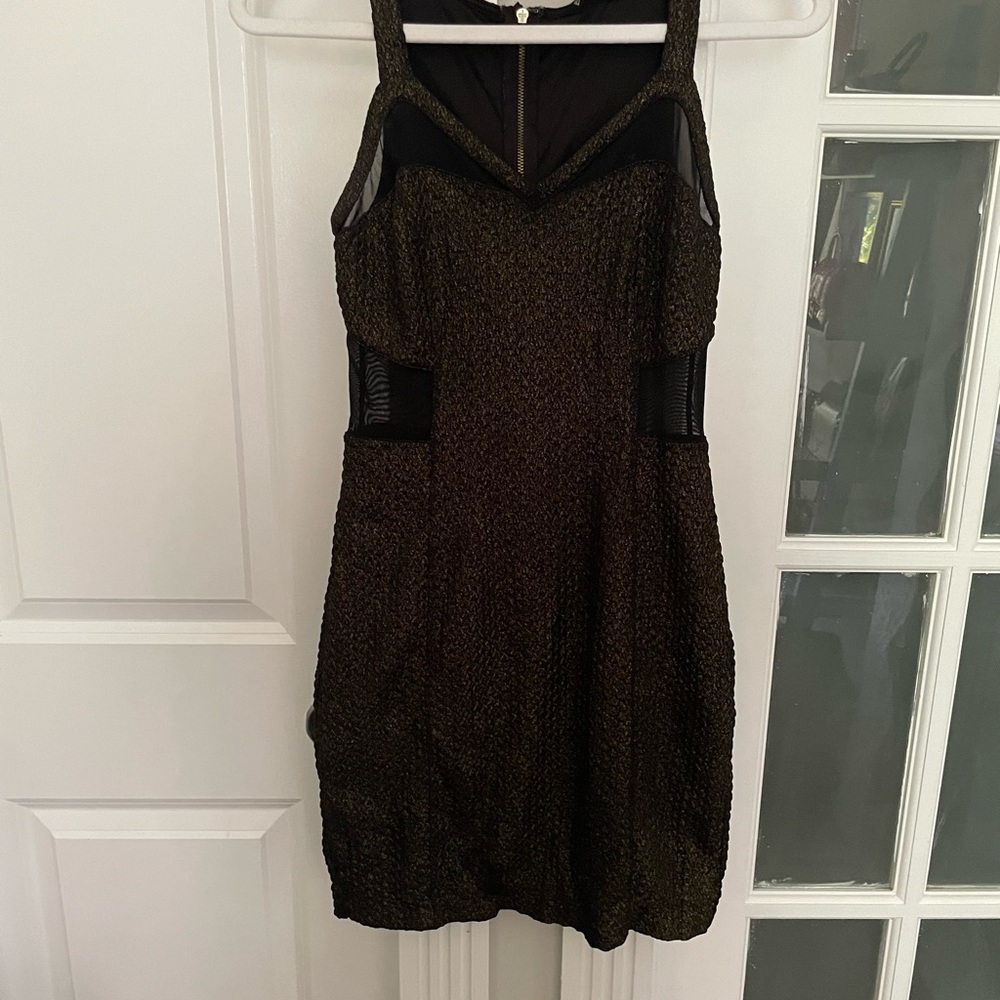 SEXY beautiful fabric Express dress. Mesh detail, gorgeous neckline
